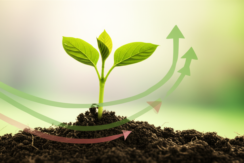 Sustainable investment growth